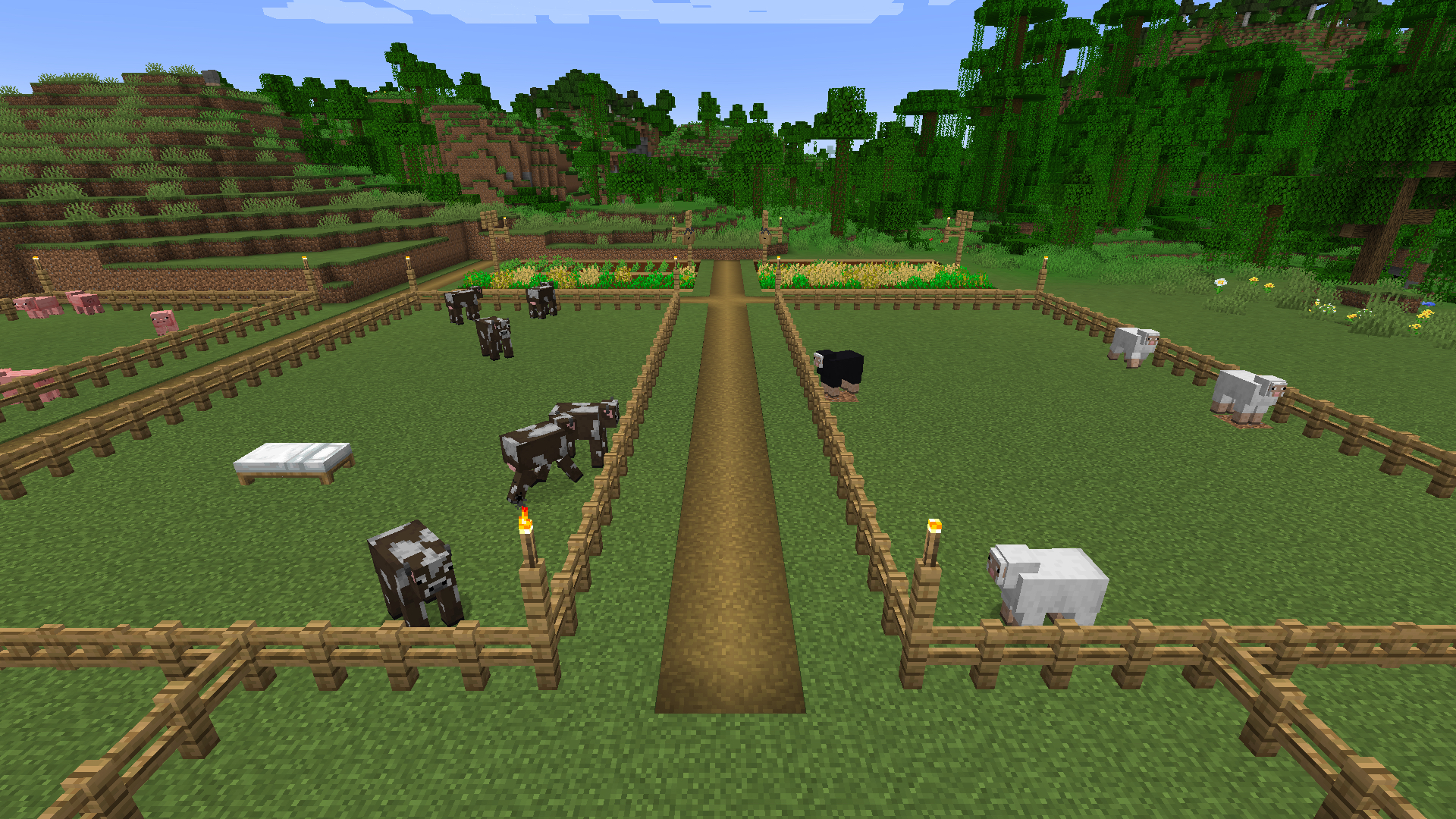 s4-cultures-enclos-1