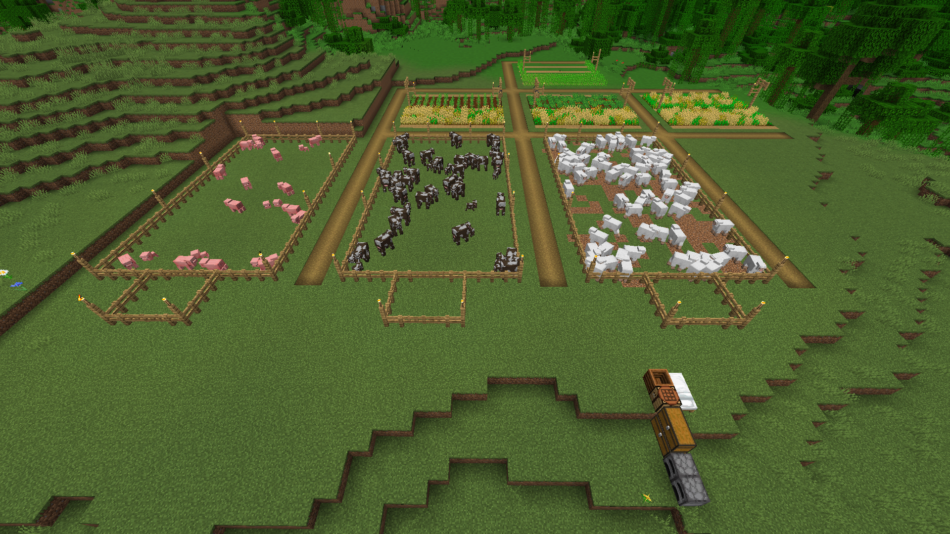 s4-cultures-enclos-4