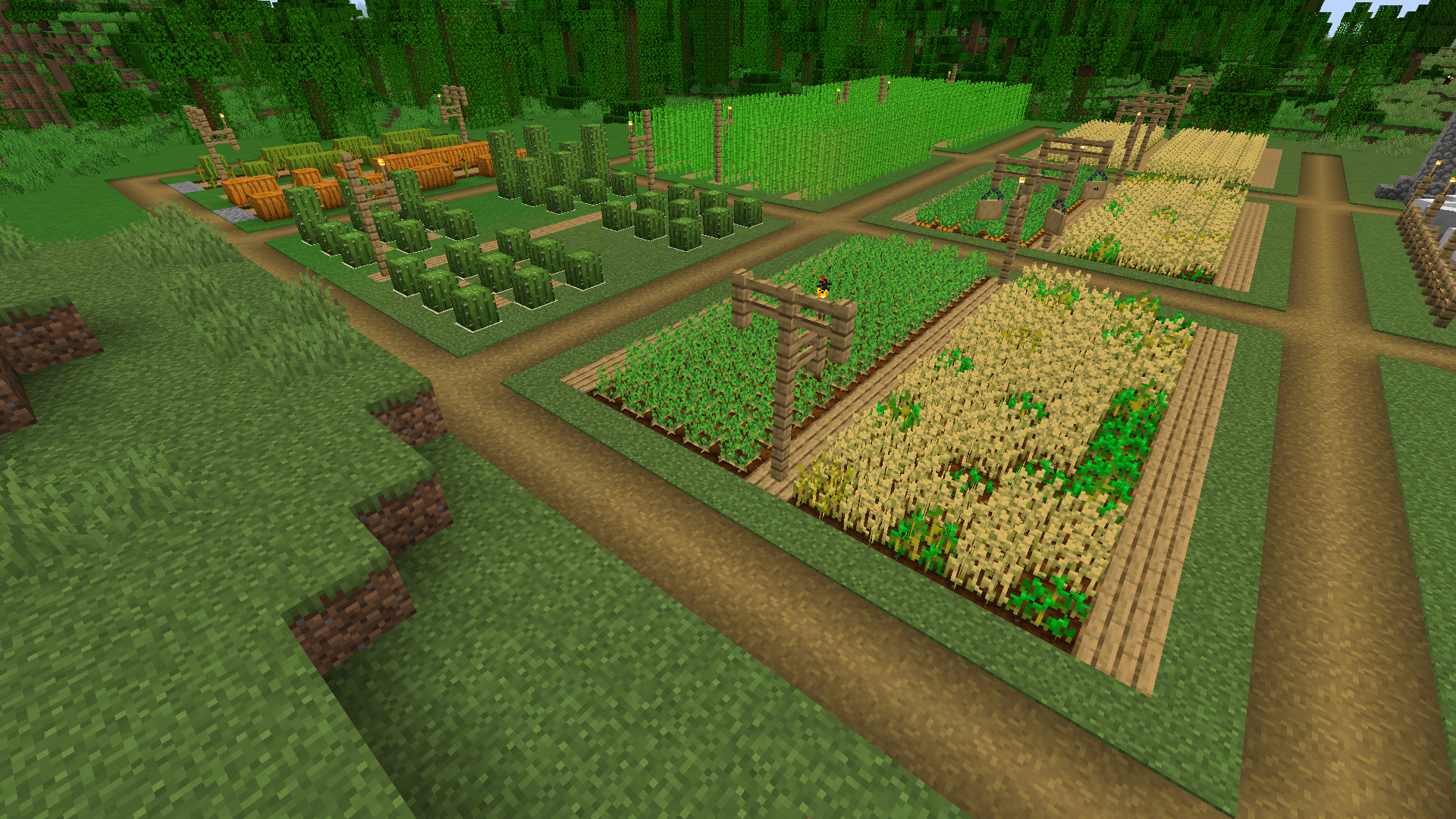 s4-cultures-enclos-5